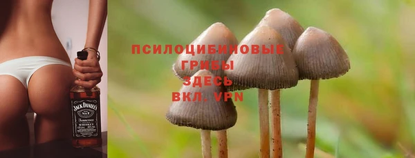 spice Белокуриха