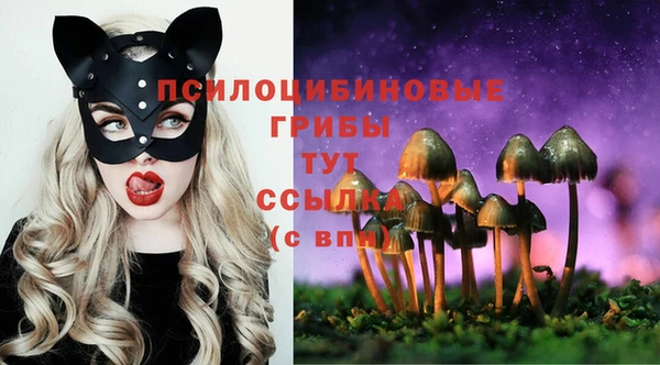 spice Белокуриха