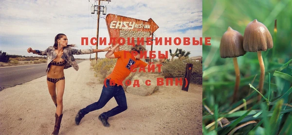 spice Белокуриха
